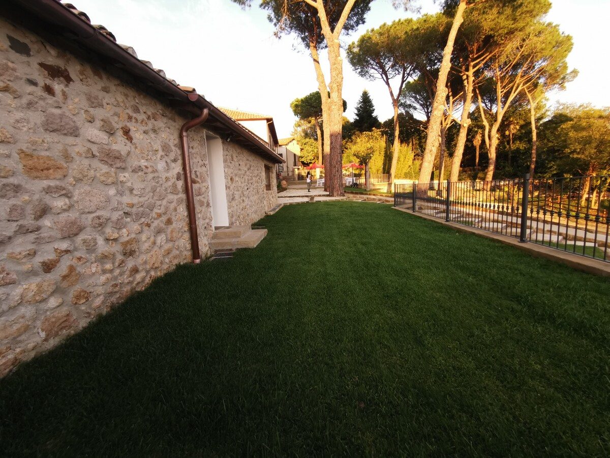 The garden with domestic pines