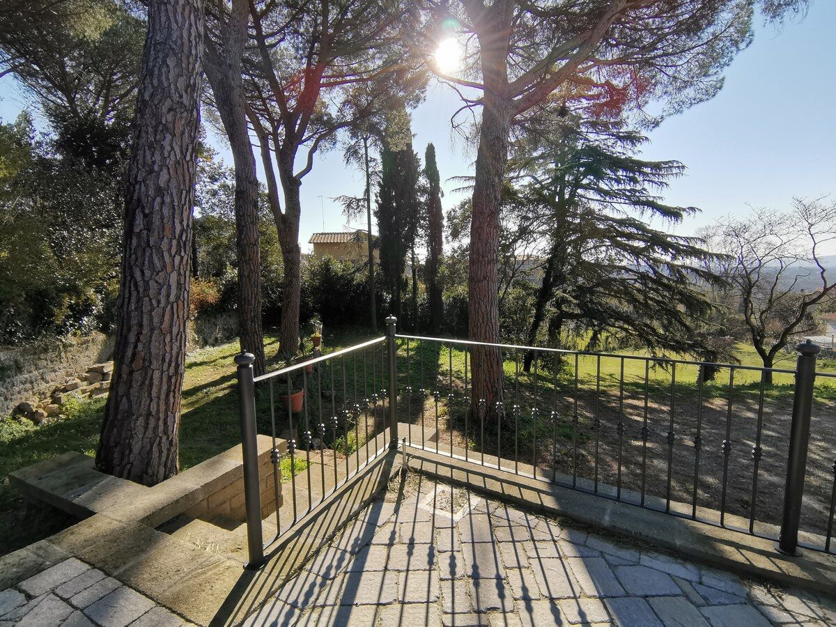 The lawn and pines of the walled park