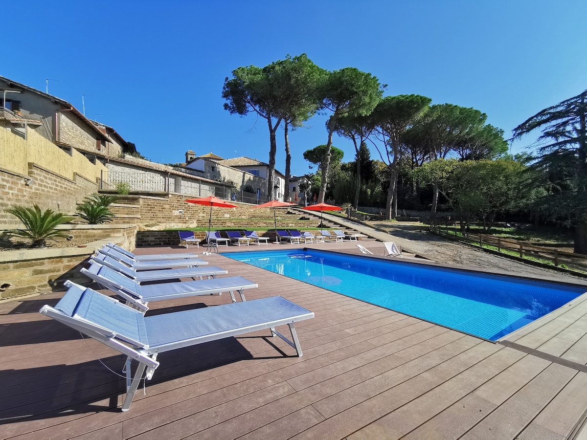 Sun beds of the solarium at the pool's edge
